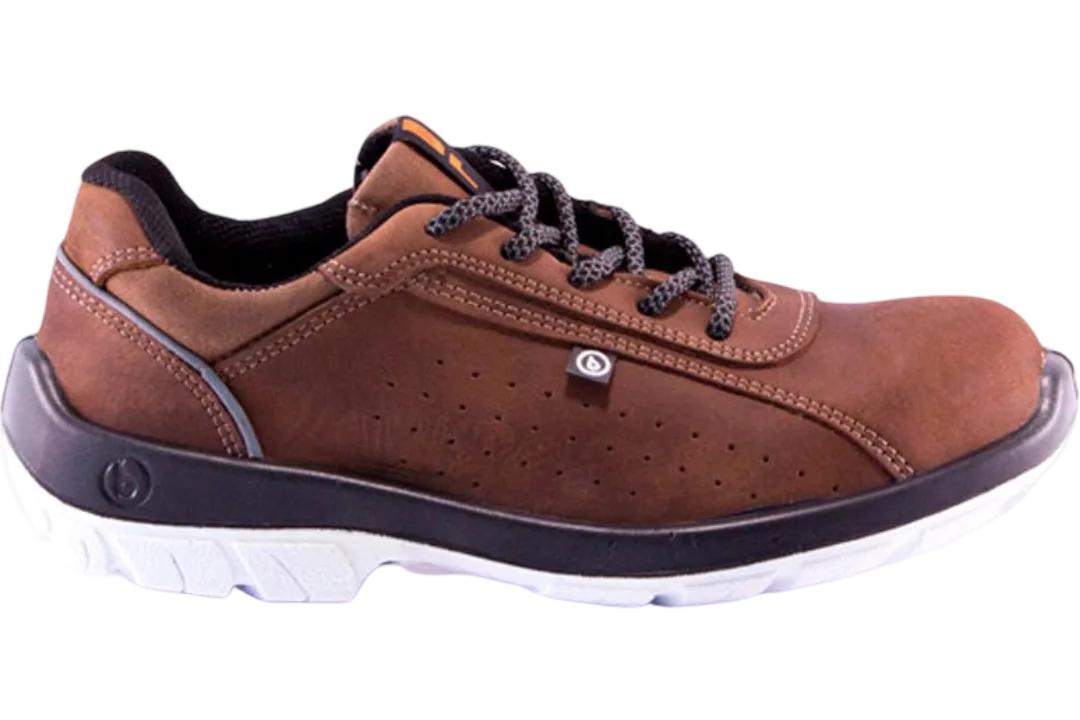 Zapato 231