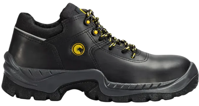 Zapato Pampa
