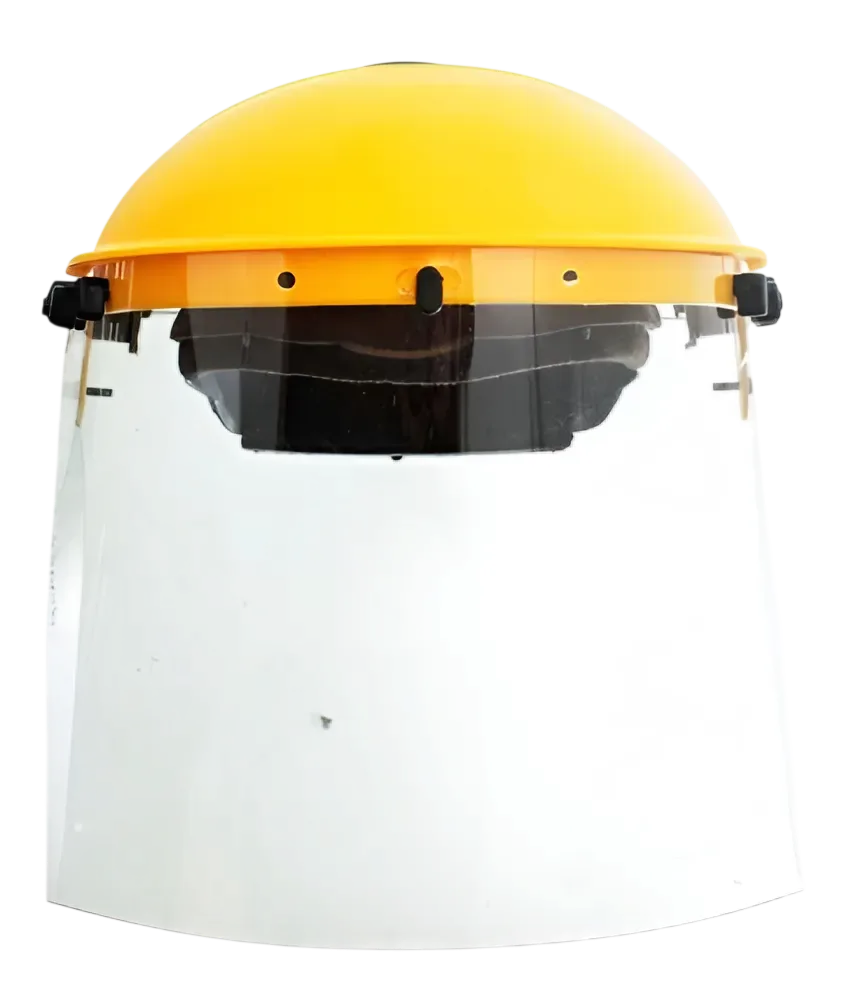 Protector facial 2020